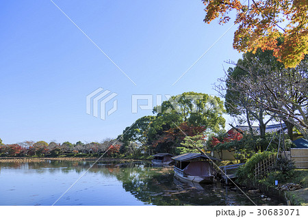 京都・大覚寺・大沢池 30683071