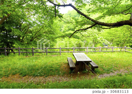 新緑とベンチテーブル 30683113