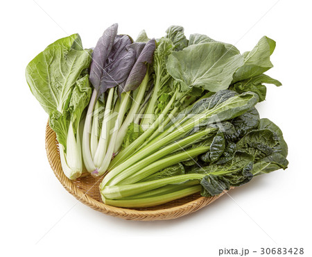 しろ菜、紫小松菜、大和まな、ちぢれ小松菜　(影イキ、背景白飛ばし) 30683428