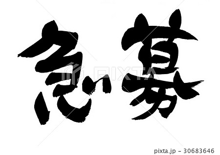 筆文字　急募　ビジネス 30683646