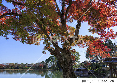 京都・大覚寺・大沢池の紅葉 京都・大覚寺・大沢池の紅葉 30685126
