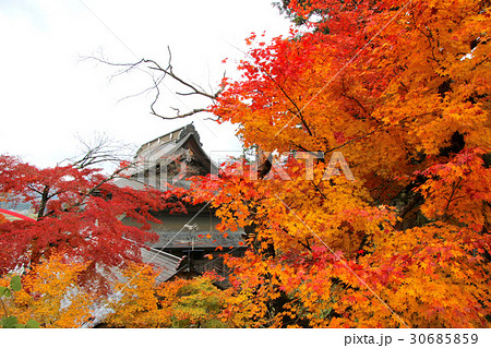 秋の福満虚空蔵尊円蔵寺（柳津町） 30685859
