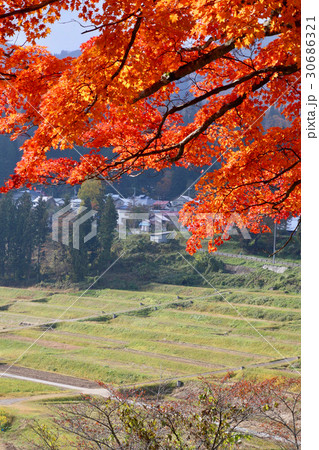 秋の福満虚空蔵尊円蔵寺(柳津町) 秋の福満虚空蔵尊円蔵寺(柳津町) 30686321