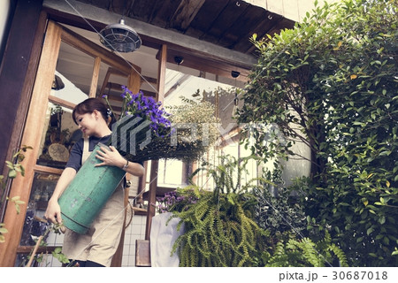 Flower Shop Store Florist Botany Bouquet Blooming 30687018