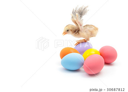 Easter colorful eggs and cute little chicken 30687812