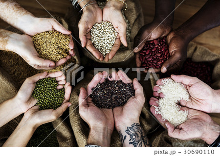 Hands holding grains and photoshooting Hands holding grains and photoshooting 30690110