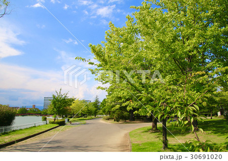 開成山公園(郡山市) 開成山公園(郡山市) 30691020