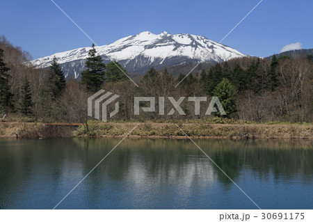 野麦峠から望む乗鞍岳 30691175