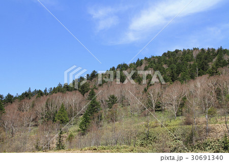 野麦峠　五月晴れの空 30691340