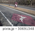 鹿の飛び出しに注意 30691348