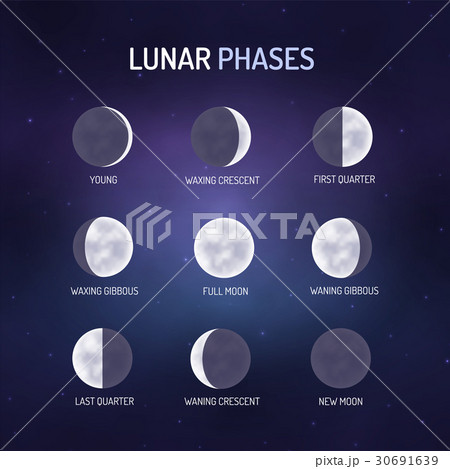 Astronomical lunar pheses 30691639