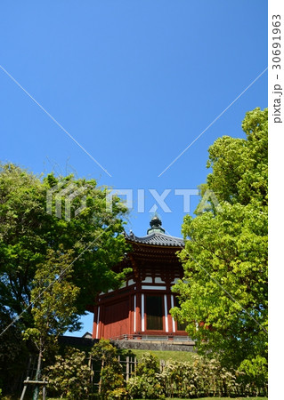 奈良興福寺 30691963