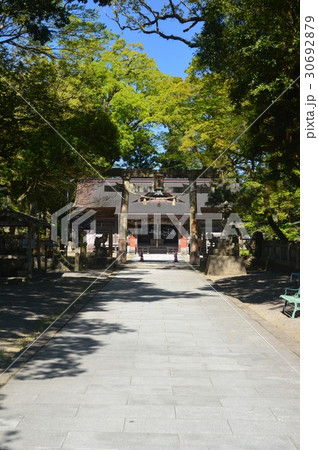 久礼八幡宮（高知県高岡郡中土佐町） 30692879