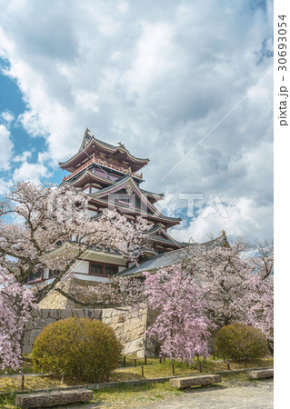 伏見桃山城の春景色の写真素材