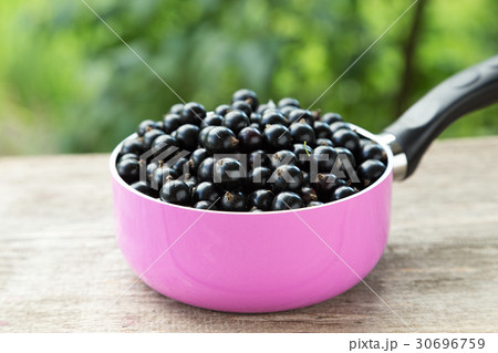 black currant berries black currant berries 30696759