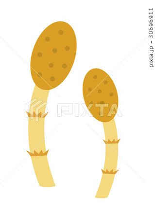 つくし つくし 30696911