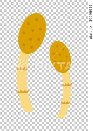 つくし つくし 30696911