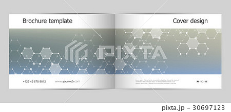 Rectangle brochure template layout, cover, annual Rectangle brochure template layout, cover, annual 30697123