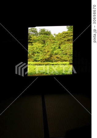 桂離宮　賞花亭　ピクチャーウィドウ 30698670