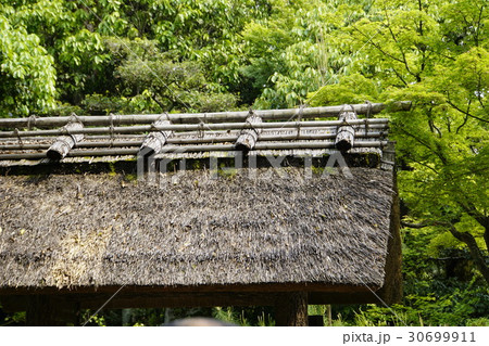 萱葺き　かやぶき屋根 30699911