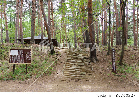 林城跡　大手門の石段跡　信州　松本　戦国時代の城跡　武田信玄の信濃侵攻で攻め滅ぼされた山城 30700527