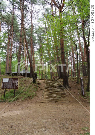 林城跡 大手門の石段跡 信州 松本 戦国時代の城跡 武田信玄の信濃侵攻で攻め滅ぼされた山城 林城跡 大手門の石段跡 信州 松本 戦国時代の城跡 武田信玄の信濃侵攻で攻め滅ぼされた山城 30700529