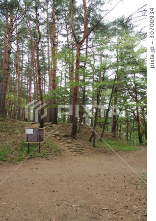 林城跡　大手門曲輪跡　信州　松本　戦国時代の城跡　武田信玄の信濃侵攻で攻め滅ぼされた山城 30700934