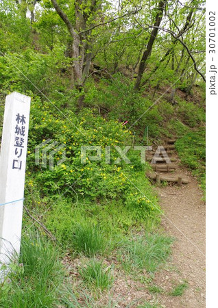 林城跡　西端の上り口　信州　松本　戦国時代の城跡　武田信玄の信濃侵攻で攻め滅ぼされた山城 30701002