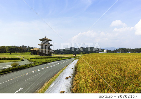 鞠智城跡の八角形鼓楼と古代米 30702157