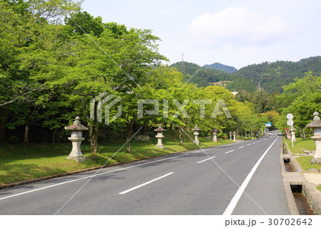 滋賀　坂本　日吉馬場 30702642