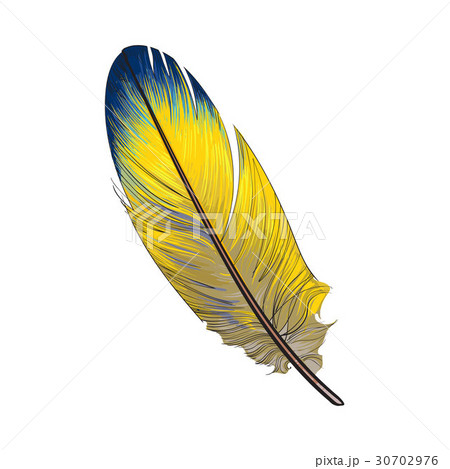 Hand drawn smoth, yellow and blur tropical, exotic Hand drawn smoth, yellow and blur tropical, exotic 30702976