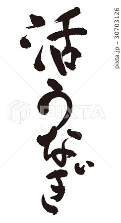 活うなぎ　筆文字 30703126