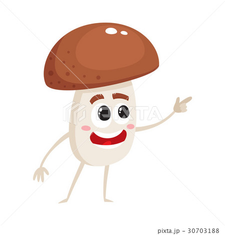 Funny porcini mushroom character with human face Funny porcini mushroom character with human face 30703188