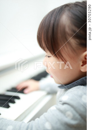 ピアノ 楽器 音楽 (オルガン チェンバロ ハープシコード MIDI シンセサイザー 鍵盤 植物) ピアノ 楽器 音楽 (オルガン チェンバロ ハープシコード MIDI シンセサイザー 鍵盤 植物) 30703290