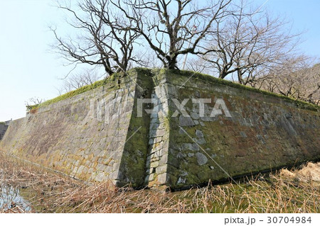 鹿児島城 30704984