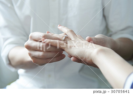 コーダルハーモニー 30705641