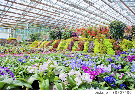 松江フォーゲルパーク 30707406