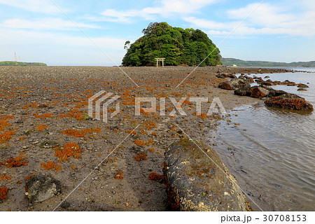 小島神社　壱岐 30708153