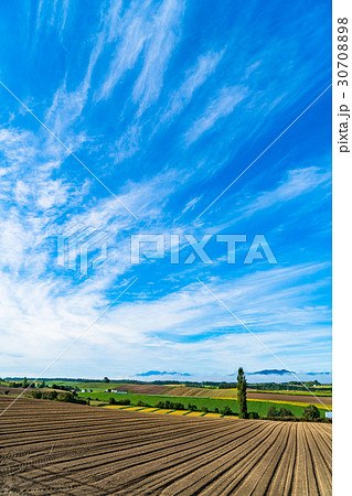 《北海道》美瑛・朝の田園風景 30708898