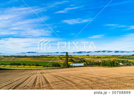 《北海道》美瑛・朝の田園風景 30708899