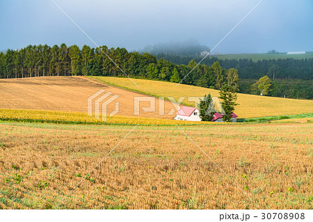 《北海道》美瑛・朝の田園風景 30708908