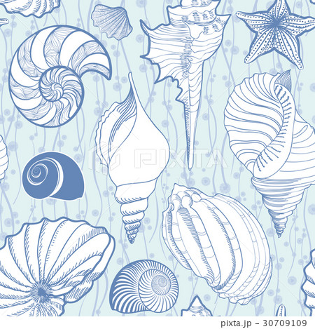 Seashell pattern. Summer holiday marine background 30709109