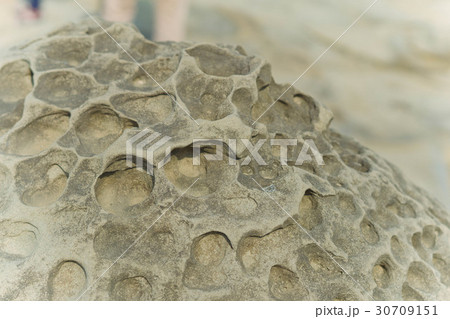 台湾 北部 岩 30709151