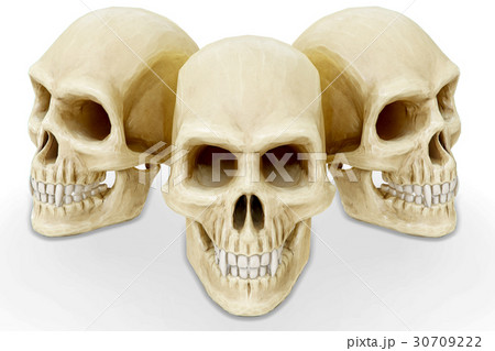skull skull 30709222