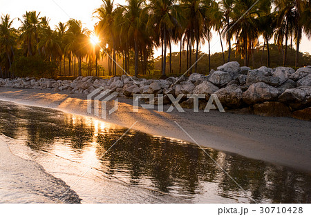 Sunset on tropical coastline 30710428