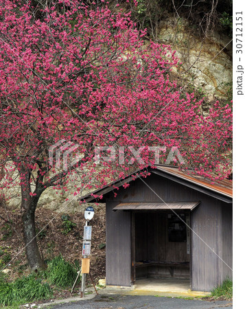 峠のバス停 30712151