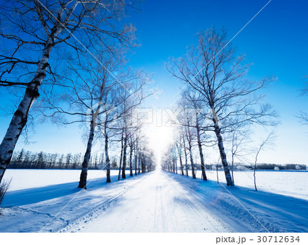 冬の道 30712634
