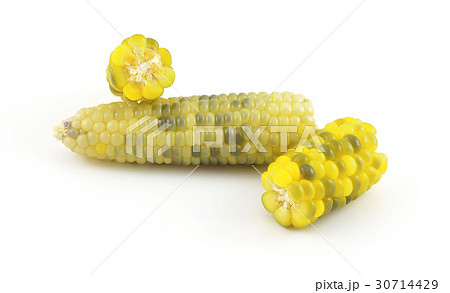 Boiled corn on white background with reflection 30714429