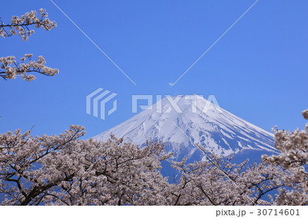 富士山 30714601
