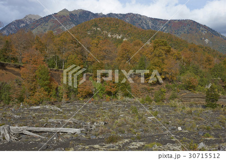 Autumn in Conguillio National Park, Chile 30715512